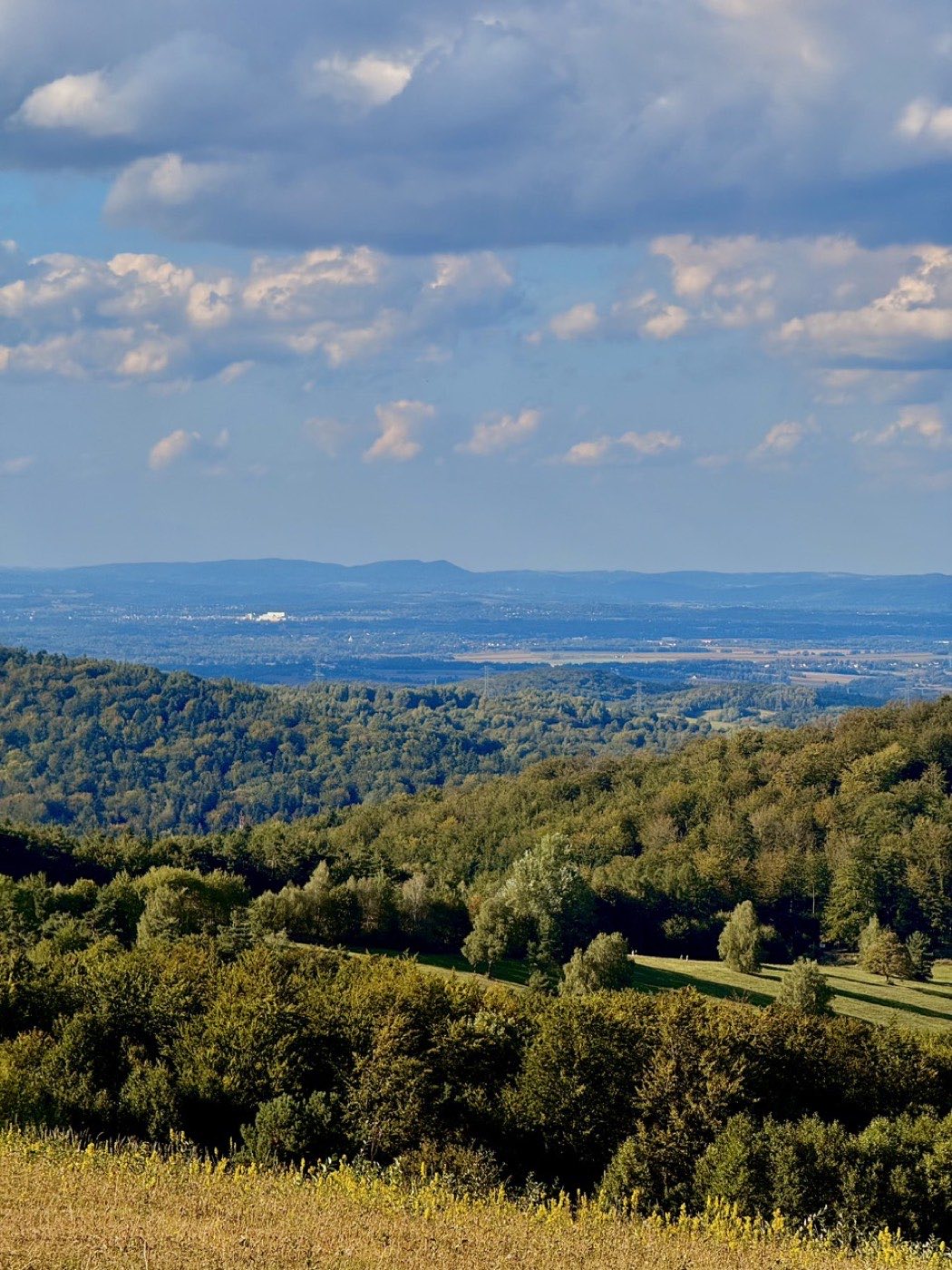 Panorama ze szczytu na zalesione pogórze i szeroką kotlinę z polami, horyzont zamglony