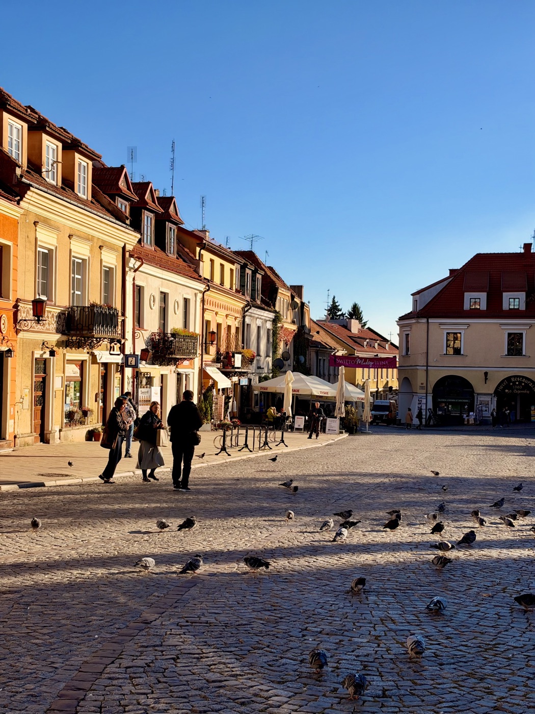 Słoneczna pierzeja rynku z kamienicami z lukarnami, kutymi balkonami i czerwonymi latarniami, przed nimi stojaki rowerowe i parasole ogródków, nad ulicą w głębi różowy baner „Święto Młodego Wina”, z prawej narożna kamienica z arkadami w parterze, na pierwszym planie brukowana płyta rynku z gromadą gołębi i kilkoro spacerowiczów
